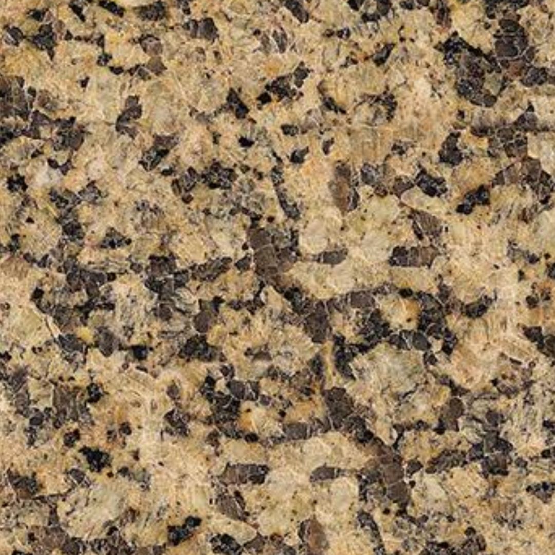 Chrysanthemum Yellow